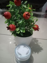 facial wash.toner cream malam siang platinum acne nezzmg skincare eceran