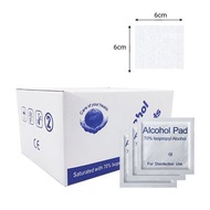 2盒 [100片裝] 6x6cm 75%酒精消毒濕紙巾 便攜消毒濕紙巾 獨立包裝酒精濕紙巾 [平行進口]