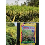 100%Ori Benih Padi Mapan05 Asli [Stok Ready]