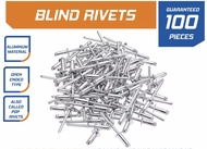 250/100 PCS Blind Rivets 1/8 x 1/2 inches