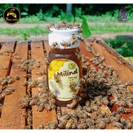 Mirind travel pack honey | Raw honey premium