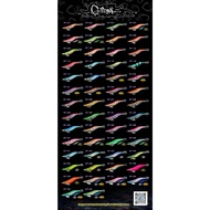 Taoyuan East District Fishing Tackle [Squid Shrimp 19g No. 3.5] Squid ST Series