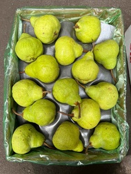 pir packam hijau fresh manis afrika 1kg