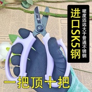 Taiwan Ready Stock Deo SK5 Steel Thickened Floral Scissors Household Trimming Flowers Flower Arrange