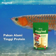 AROWANA Fish Food Supplement Feed AROWANA Aggressive High Protein