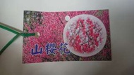 [售]山櫻花/富士櫻嫁接苗/請先來電詢價