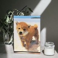 阿柴海邊走走 創意數字油畫 【銷售排行榜】台灣本島免運