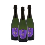 Champagne Veuve Fourny Blanc de Blancs Nature Brut 1er Cru NV