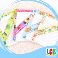 Newborn Receiving Blanket Hooded Pranela for Baby