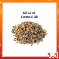 100ml Dill Seed Essential Oil