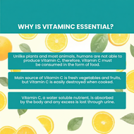 READY STOCK [Atomy Vitamin C] Atomy Vital Color Vitamin C 550mg (2gx90 sticks) Vitamin Powder Serbuk