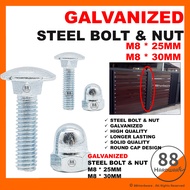 【Galvanized】M8 bolt and nut aluminium gate panel/aluminium panel for gate/ pagar bolt and nut/ gate / screw / skru