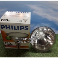 PAR 38 Lamp Philips 38 120 Watt Spot Light/