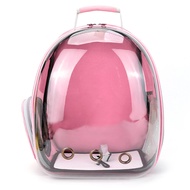 Halloween Transparent Cat Handbag Space Breathable Portable Pet Backpack Puppy Dog Backpack Transpor