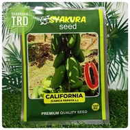 Paket 50-100-1000 Biji CALIFORNIA Syakura Seed Biji Benih Betik Sekaki Renek California Premium Carica Papaya L. Indo