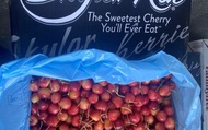 【史上最甜！超稀有華盛頓SKYLAR RAE草莓白櫻桃4kg原箱裝(9-8.5R)】少見夢幻的新白櫻桃專利品種！