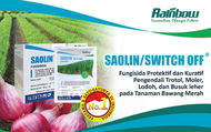 fungisida saolin rencek lodoh pada tanaman bawang merah