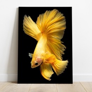 Poster Kayu Ikan Cupang Beta Fish Halfmoon Serit Slayer Warna Emas Putih Merah Biru Dekorasi Kamar