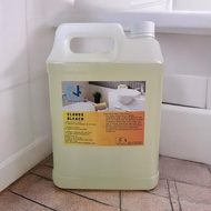 Peluntur / Clorox Bleach