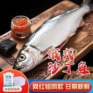 Russian Style Smoked Fish Dasha Bear Smoked Fish Instant Cold Smoked Herring Smoked Fish Sister 6.26