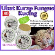 Ringworm Anti Fungus Bacteria Ringworm Cream Ulcer Ulcer Wound Itching Cat Dog