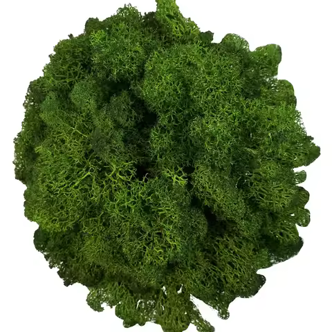Artificial Moss for Potted Plants Fake Natural Green Reindeer Moss for Craft Arts Floral Wall Decor 