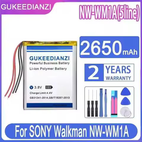 GUKEEDIANZI Replacement Battery 2650mAh for SONY Walkman NW-WM1A NW-WM1Z Player 5-wire
