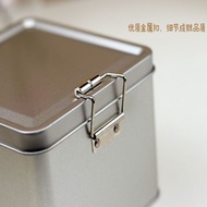 Rectangular Tin Box Pineapple Crisp Cookies Snacks Refrigerated Food Packaging Box Jewelry Small Obj