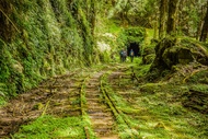 嘉義旅遊｜漫步眠月線.免睡帳篷.奮起湖阿里山二日｜滿團14人