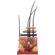 4D Human Skin Model Hair Organs Assembling Puzzle Model Teaching Model Manikin Science Anatomical Mo