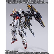突擊 高達 閃電背包 突擊配色 Metal build gundam lightning striker MB