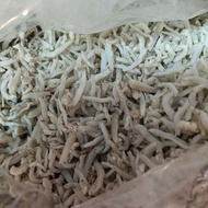 Ikan teri medan /Teri nasi