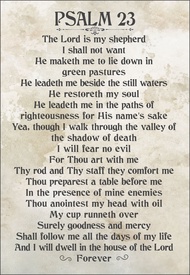 Psalm 23 Lord Is My Shepherd Bible Verse Rustic Retro Vintage Canvas Wall Décor Home Decor 0603