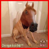 (ITEMS HAVE ARRIVED) - HORSE MASK - HALLOWEEN HIGH QUALITY HORSE HEAD COSTUME MASK - Fur horse head 