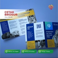 Print Full Color Brochures