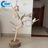 Dry branches, natural tree branches, bird stand, parrot perch, artistic dry branches, dead wood tree