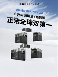 EcoFlow | High Power 1000W Car Charger & Outdoor Power Supply