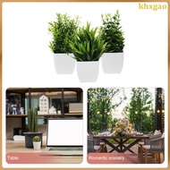 Plants Mini Fake for Home Office Bedroom Small Miniature