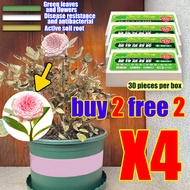 No fertilizer for 10 years Plants Fertilizer Stick flower fertilizer  30pcs/box Plant first aid 6 in