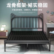Iron Bed D6ZE Bold Rental House 1.8 Meters Simple Princess Iron Frame Bed D6ZE