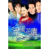 Meteor Garden Tagalog Dubbed In 32GB usb thumb drive usb flash drive
