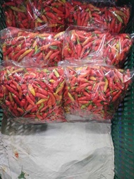 Cabe rawit merah 1/2 kg