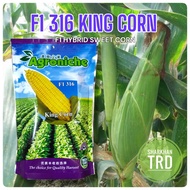 🔥NEW STOCK🔥 500g F1 316 KING CORN Cap AG Seeds Biji Benih Jagung SangatManis F1 Hybrid Super Sweet C