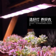 科瑞LED植物生長燈全光譜多肉補光燈上色室內雨林缸盆栽微景觀燈