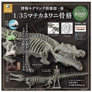Museum Model Club Ginseng-Fengyu Ji Crocodile SO-TA Capsule Toy [Egg Lebao]