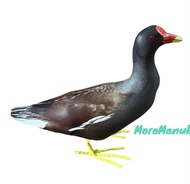 Jontrot Burung Mandar Batu - Decoy Patung Burung Mandar - Alat Pancing Burung Mandar Besar - Alat Pi