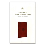 ESV Large Print Value Thinline Bible TruTone