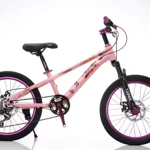 Single Speed Non Gear Selling Best Cheap Price Steel Frame Disc Brake 20 22 Inches Student Mountain 