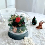 永生花拍拍燈玻璃盅-聖誕麋鹿