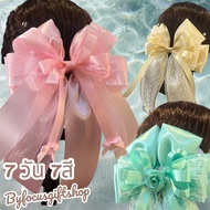 7 Days 7 Colors Of Large Hair Net By Focusgiftshop Staff Civil Servant
